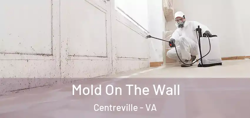  Mold On The Wall Centreville - VA