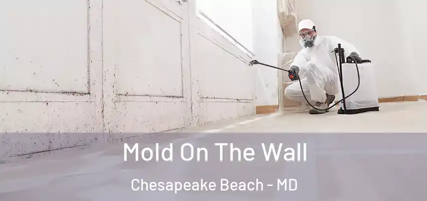  Mold On The Wall Chesapeake Beach - MD