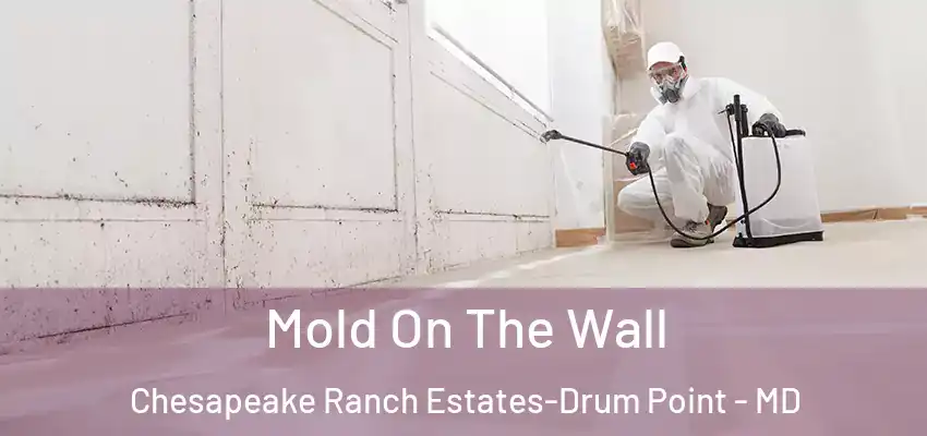  Mold On The Wall Chesapeake Ranch Estates-Drum Point - MD