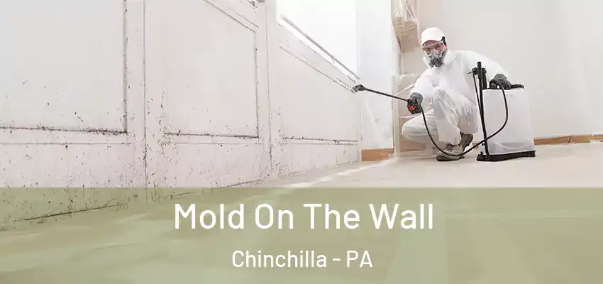  Mold On The Wall Chinchilla - PA