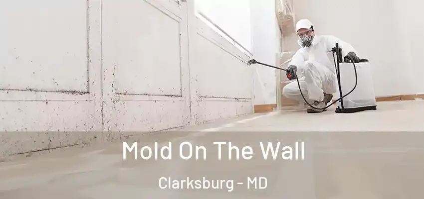  Mold On The Wall Clarksburg - MD