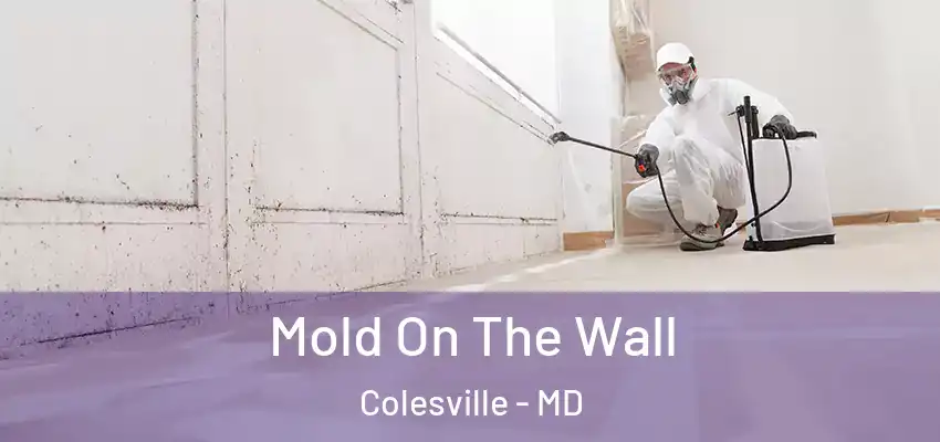  Mold On The Wall Colesville - MD