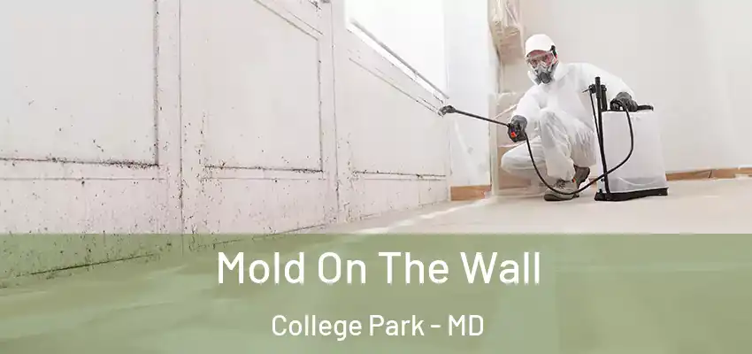  Mold On The Wall College Park - MD