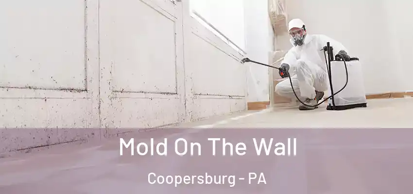  Mold On The Wall Coopersburg - PA