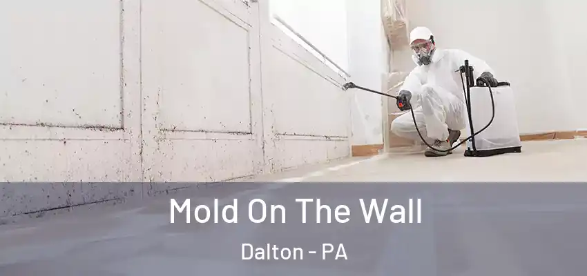 Mold On The Wall Dalton - PA