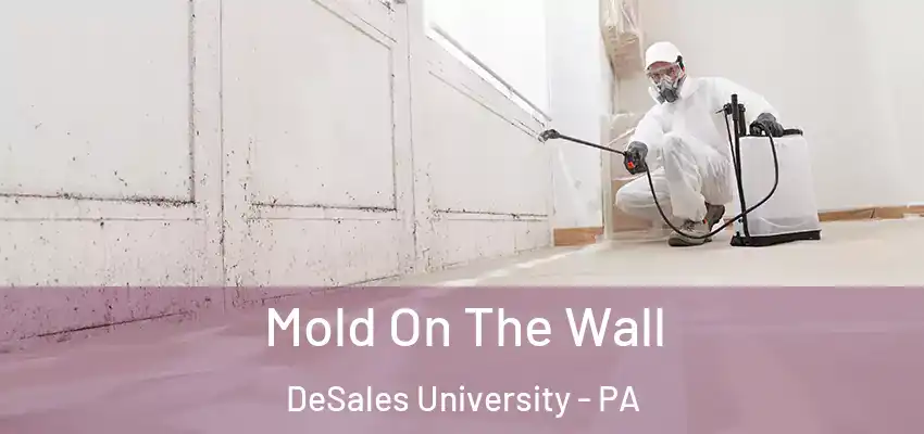 Mold On The Wall DeSales University - PA