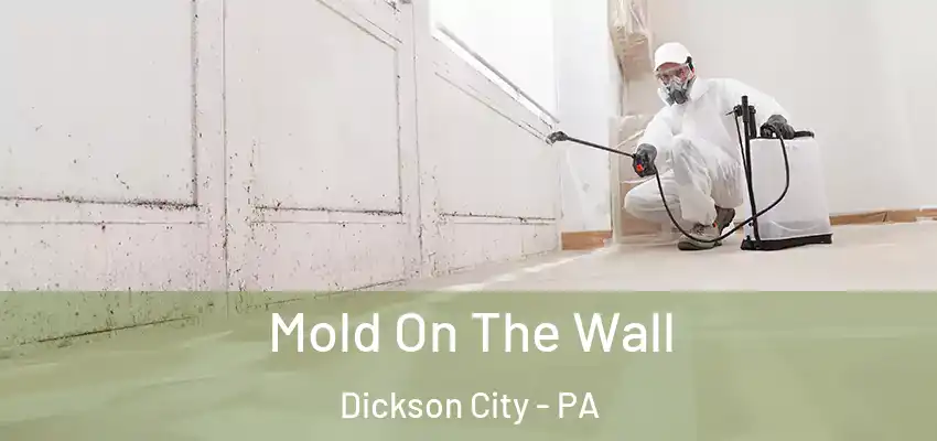 Mold On The Wall Dickson City - PA