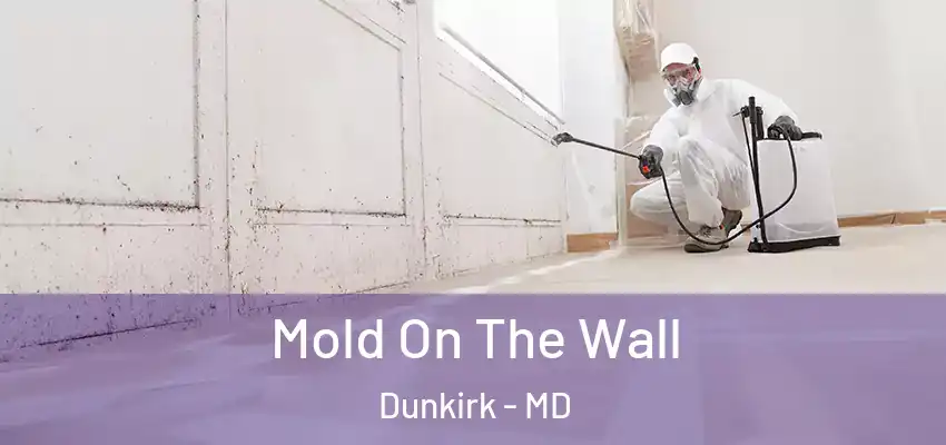 Mold On The Wall Dunkirk - MD