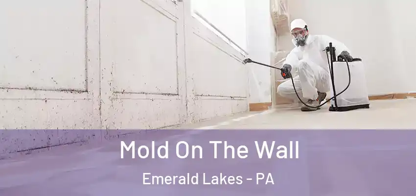 Mold On The Wall Emerald Lakes - PA
