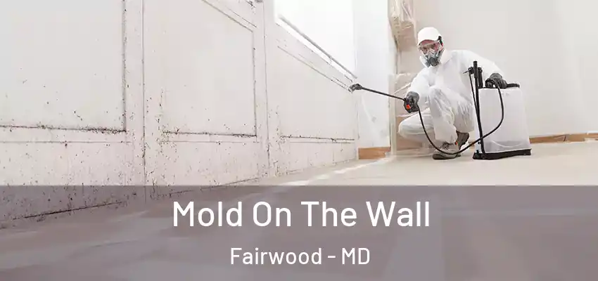 Mold On The Wall Fairwood - MD