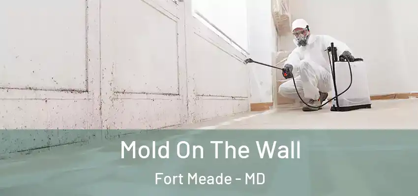 Mold On The Wall Fort Meade - MD