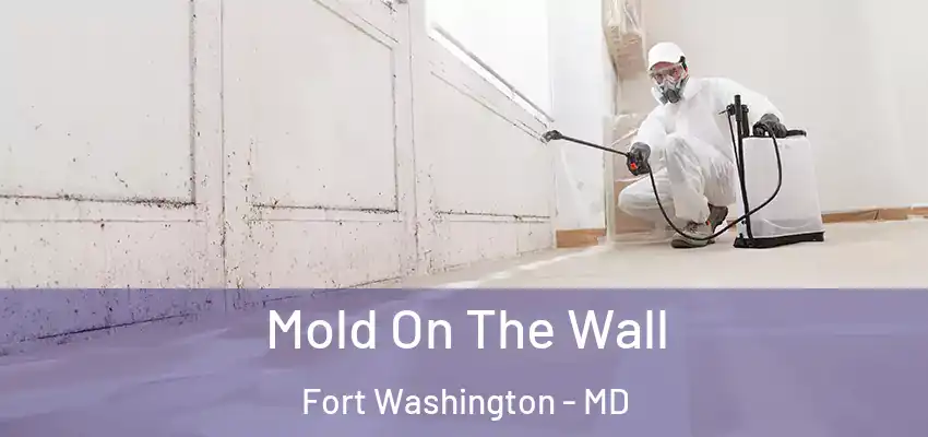 Mold On The Wall Fort Washington - MD