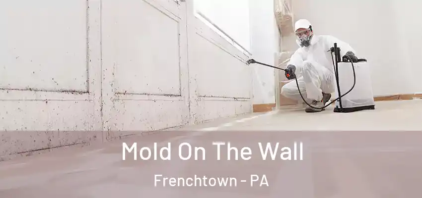 Mold On The Wall Frenchtown - PA
