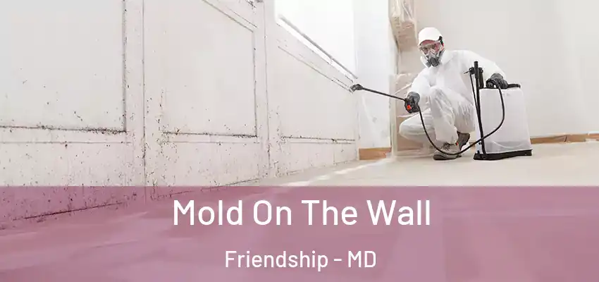 Mold On The Wall Friendship - MD