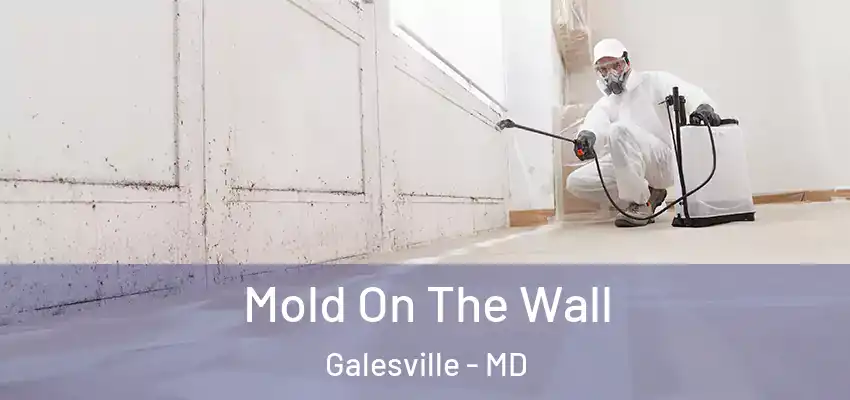 Mold On The Wall Galesville - MD