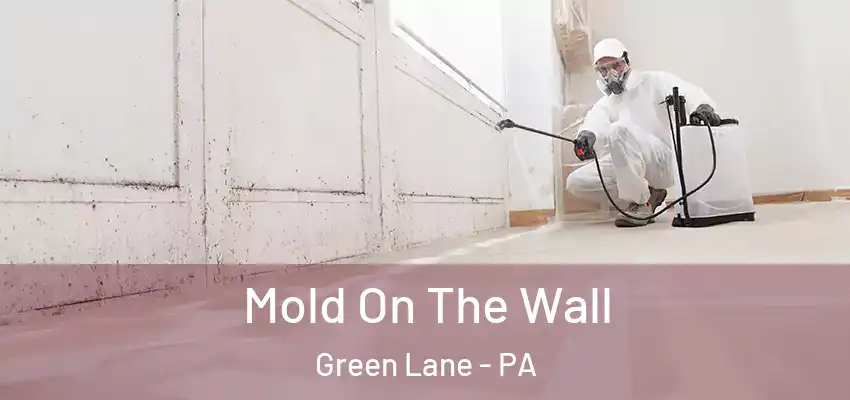 Mold On The Wall Green Lane - PA