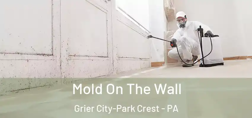 Mold On The Wall Grier City-Park Crest - PA