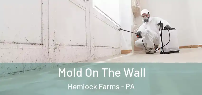 Mold On The Wall Hemlock Farms - PA