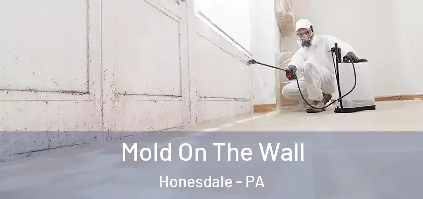 Mold On The Wall Honesdale - PA