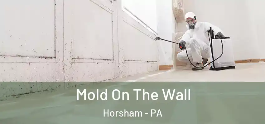 Mold On The Wall Horsham - PA