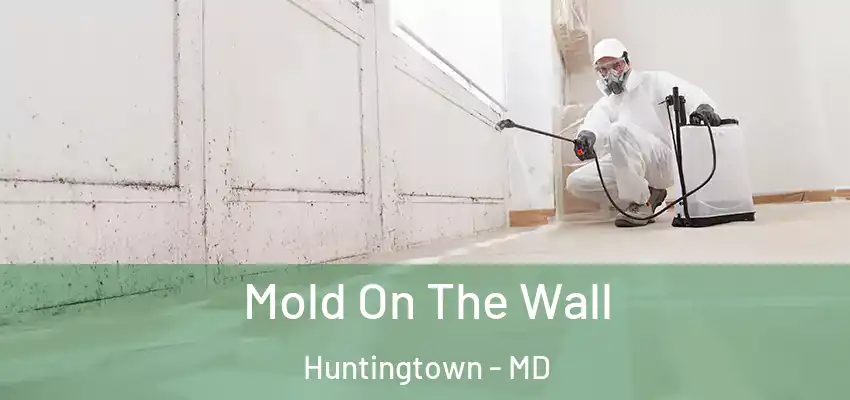 Mold On The Wall Huntingtown - MD