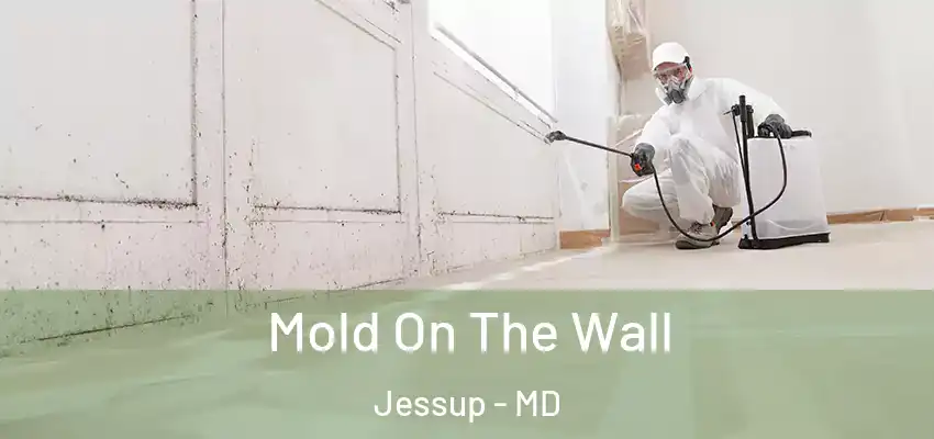 Mold On The Wall Jessup - MD