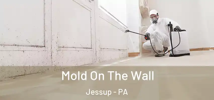 Mold On The Wall Jessup - PA