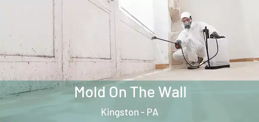 Mold On The Wall Kingston - PA