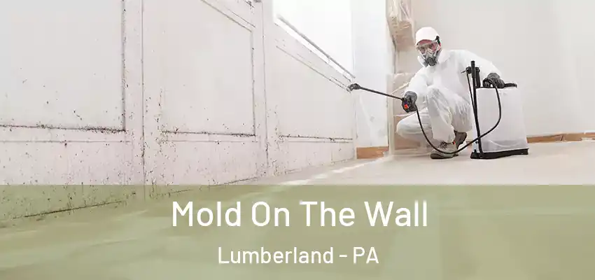  Mold On The Wall Lumberland - PA