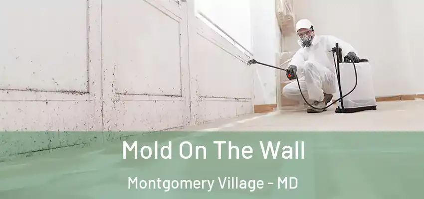 Mold On The Wall Montgomery Village - MD
