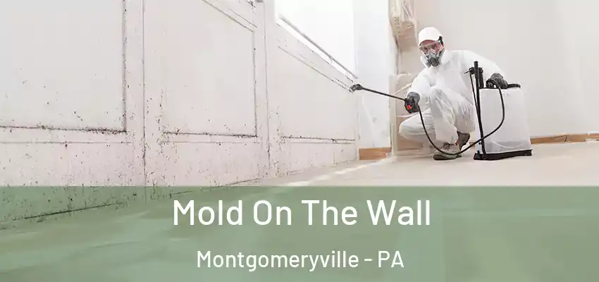 Mold On The Wall Montgomeryville - PA