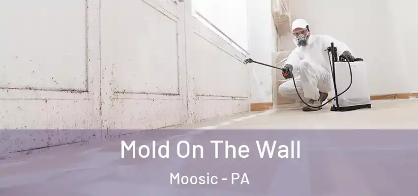 Mold On The Wall Moosic - PA