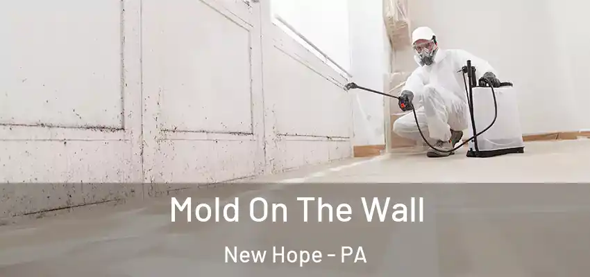 Mold On The Wall New Hope - PA