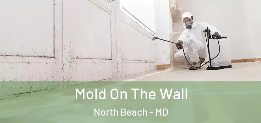  Mold On The Wall North Beach - MD