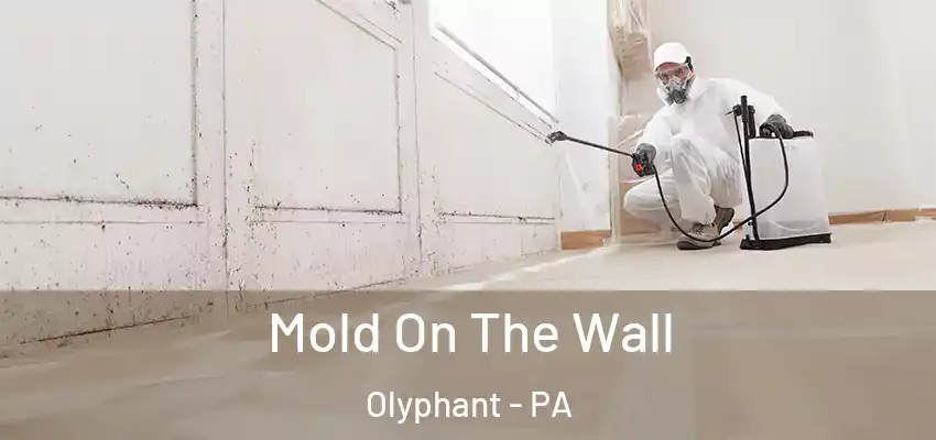 Mold On The Wall Olyphant - PA
