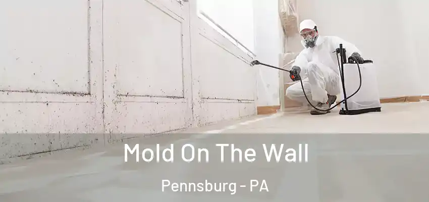 Mold On The Wall Pennsburg - PA