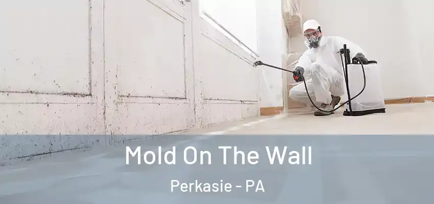 Mold On The Wall Perkasie - PA