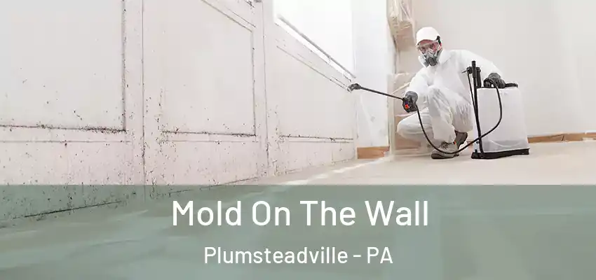 Mold On The Wall Plumsteadville - PA