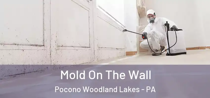 Mold On The Wall Pocono Woodland Lakes - PA