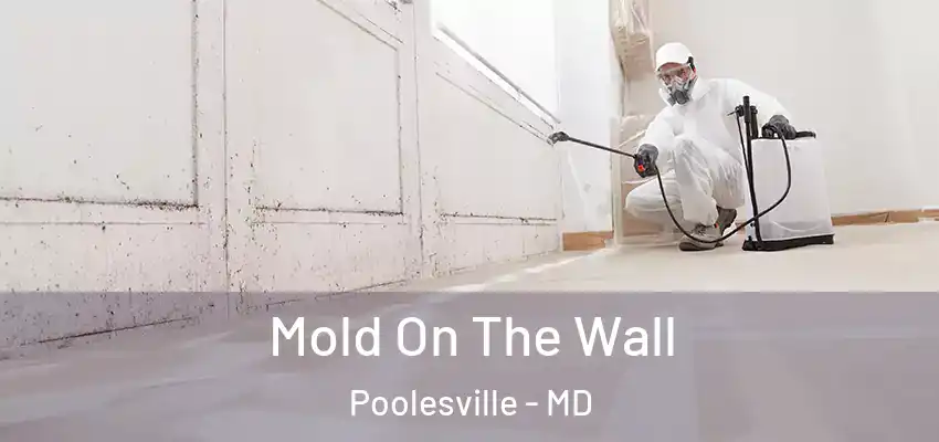 Mold On The Wall Poolesville - MD