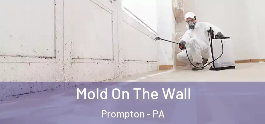Mold On The Wall Prompton - PA
