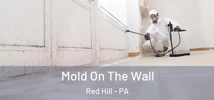 Mold On The Wall Red Hill - PA