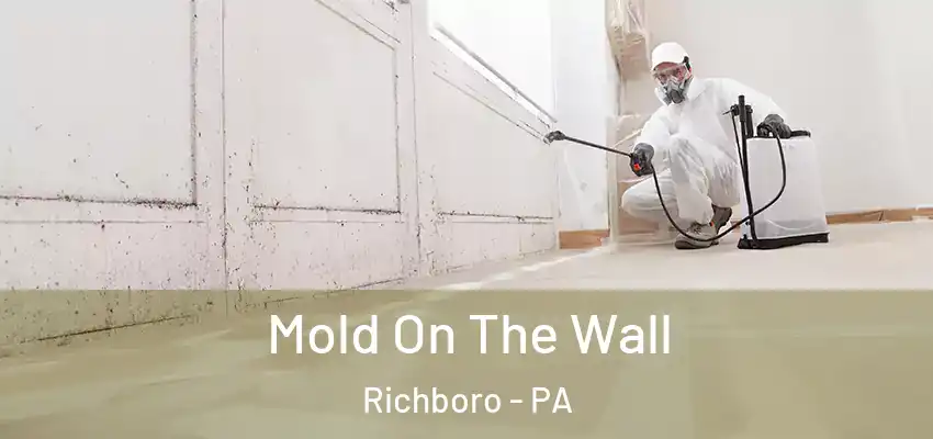Mold On The Wall Richboro - PA