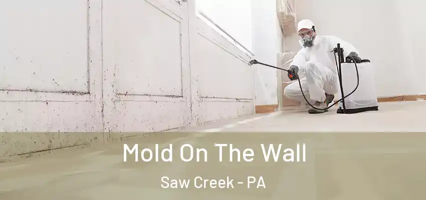 Mold On The Wall Saw Creek - PA