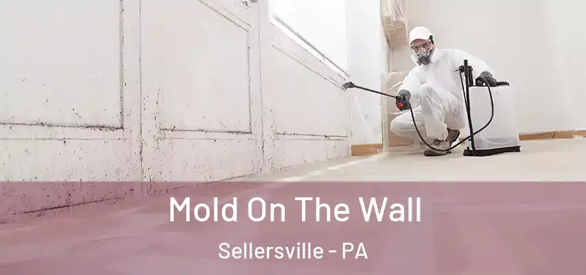 Mold On The Wall Sellersville - PA