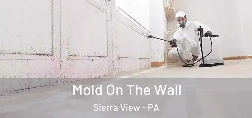 Mold On The Wall Sierra View - PA