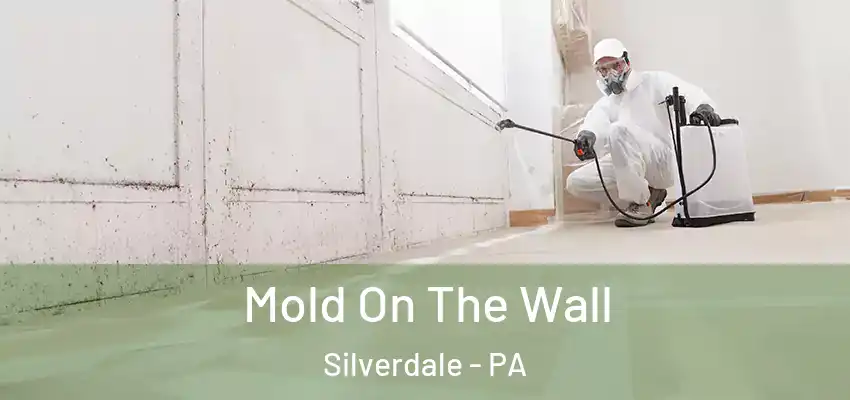 Mold On The Wall Silverdale - PA