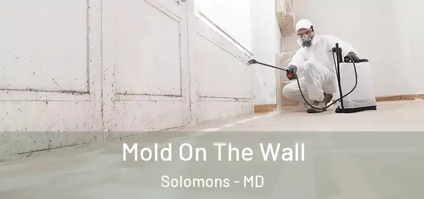  Mold On The Wall Solomons - MD