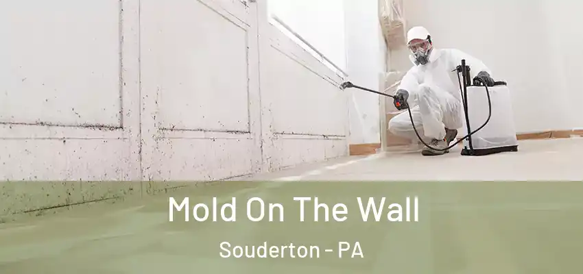  Mold On The Wall Souderton - PA