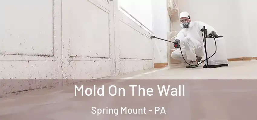 Mold On The Wall Spring Mount - PA
